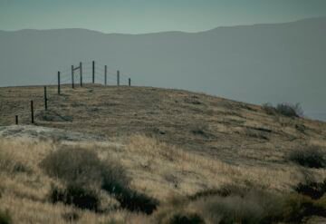 Runnibg Fence2.jpg